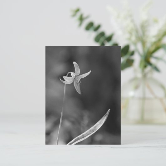Trout Lily Briefkaart (Staand voorkant)