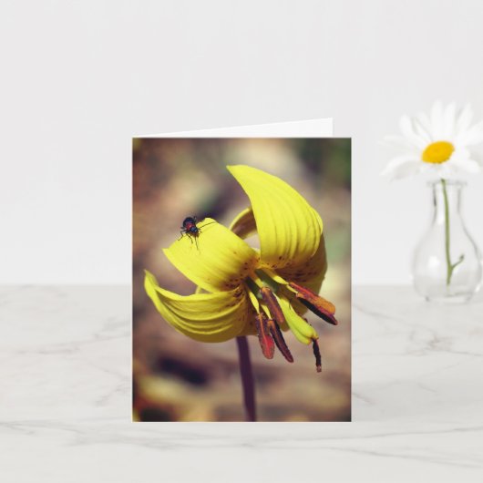 Trout Lily en Friend Floral Note Kaart (Kleine Plant)