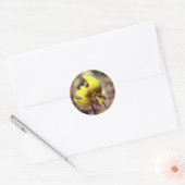 Trout Lily Flower and Friend Ronde Sticker (Envelop)