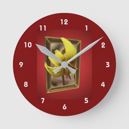 Trout Lily Flower Out Of Bounds  Ronde Klok (Voorkant)