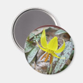 Trout Lily Wildflower - Erythronium americanum Magneet (Voorkant / Achterkant)