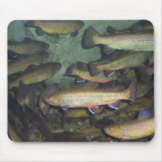 Trout mousepad muismat