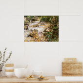 Trout Stream in the Tirol by John Singer Sargent Poster (Keuken)