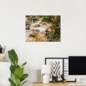 Trout Stream in the Tirol by John Singer Sargent Poster (Thuiskantoor)