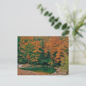 Trout Stream, West Virginia Briefkaart (Staand voorkant)