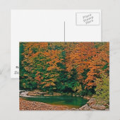Trout Stream, West Virginia Briefkaart (Voorkant / Achterkant)