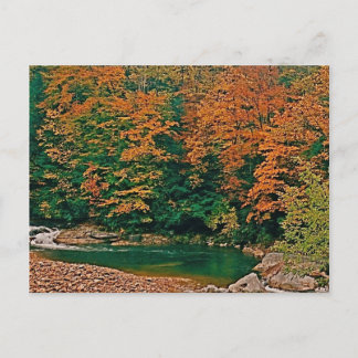 Trout Stream, West Virginia Briefkaart