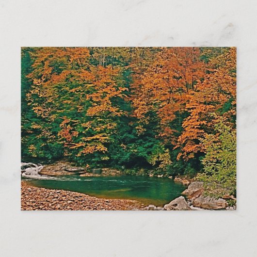 Trout Stream, West Virginia Briefkaart (Voorkant)