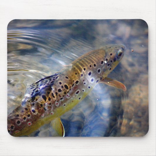 Trout - Vissen Mousemat Muismat (Voorkant)
