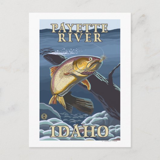 Trout Vist de doorsnede Payette River, Briefkaart (Voorkant)