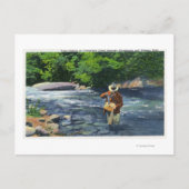 Trout Vist op Catherine's Creek Briefkaart (Voorkant)