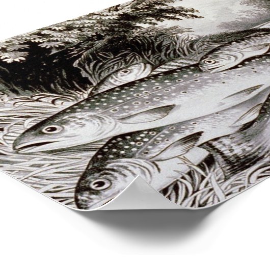 Trout Vist Vintage Image Poster (Hoek)