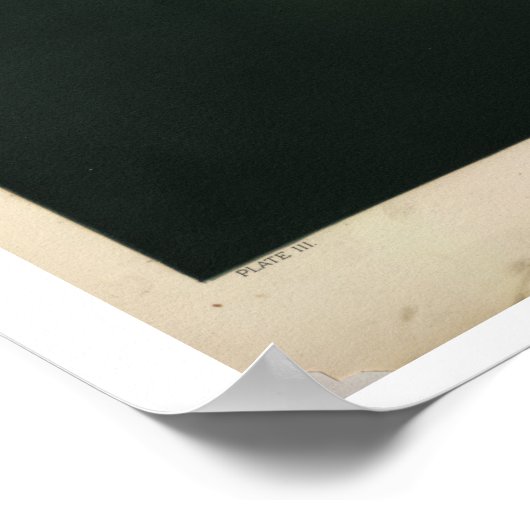 Trouvelot's Eclipse of the Sun Poster (Hoek)