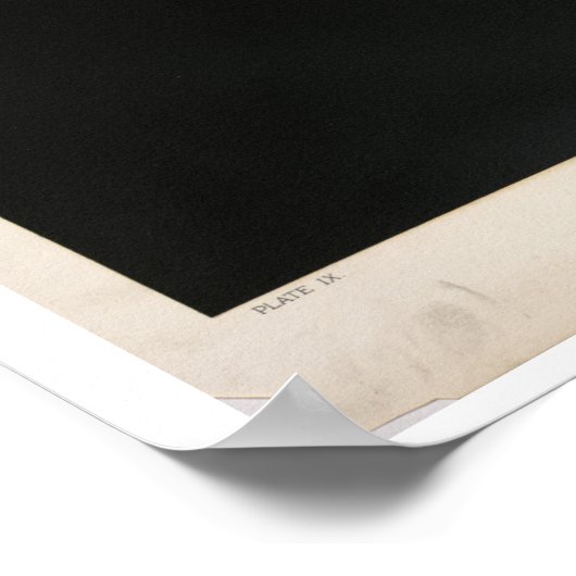 Trouvelot's Jupiter Poster (Hoek)