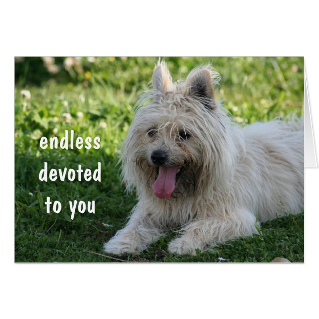 trouw (Voorkant Horizontaal)