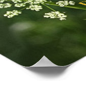 trouw aan het poster in het omgekeerde  (Hoek)