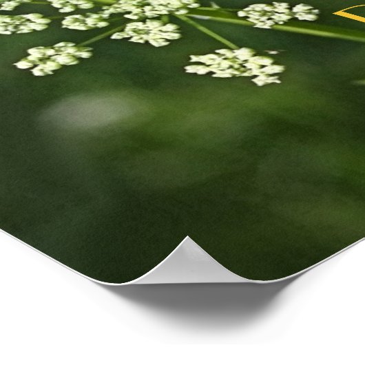 trouw aan het poster in het omgekeerde  (Hoek)