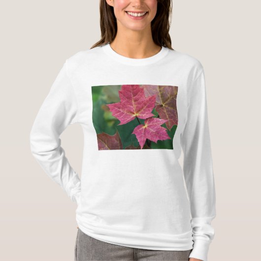 trouw aan jou t-shirt (Voorkant)