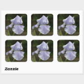 Trouw Blauwe Iris Bloem Regendruppels Vierkante Sticker (Vel)
