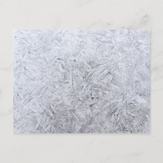 Trouw bruidsmeisje | Wit moderne woodchip Elegant Uitnodiging Briefkaart (Achterkant)