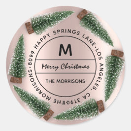 Trouw Kerstmis Familie Adres RSVP Monogram Roos Ronde Sticker