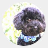 Trouw liefhebbende vriend ronde sticker (Voorkant)