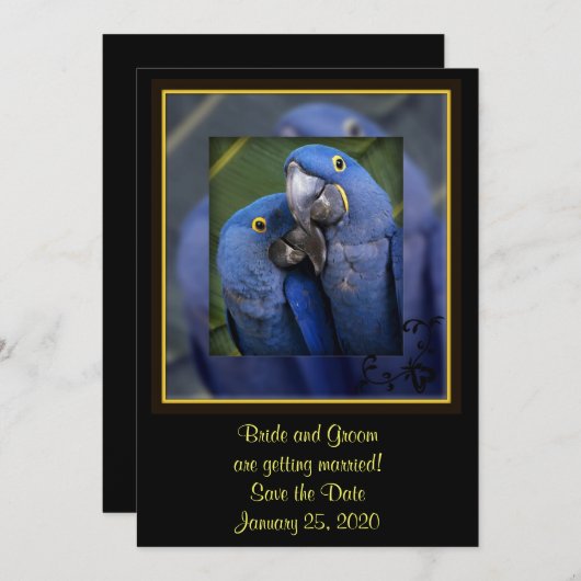 Trouw met Blauwe Papegaai Save The Date (Voorkant / Achterkant)