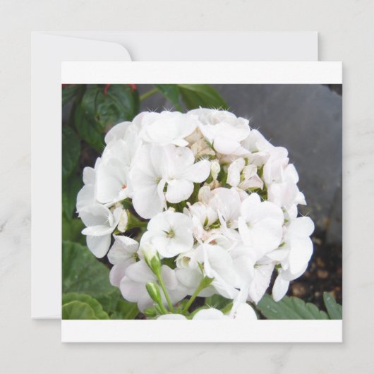 Trouw met sprankelende witte bloemen save the date (Voorkant)