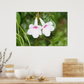 Trouwbelbloem Poster (Keuken)