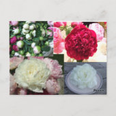 Trouwbloemist Visitekaartje Briefkaart (Achterkant)