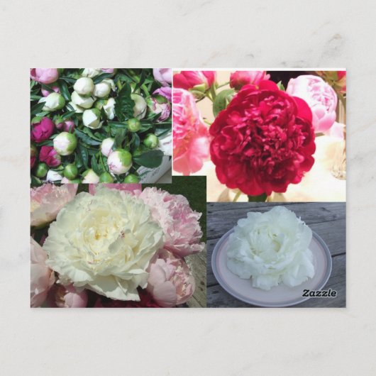 Trouwbloemist Visitekaartje Briefkaart (Achterkant)