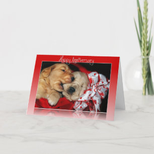 Trouwdag Golden Retriever-pups Kaart