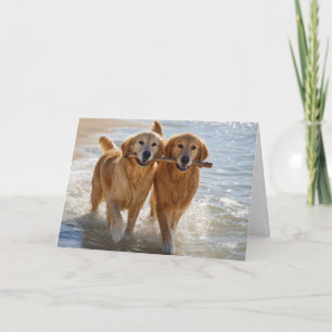 Trouwdag Goud Retrievers met een Stok Kaart