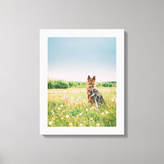 Trouwe blik in de weide canvas afdruk (Voorkant)