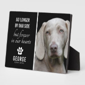 Trouwe Hond Niet Meer Aan Onze Zijde | Foto Aanden Fotoplaat (Zijkant)