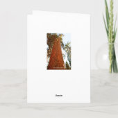 Trouwe paar Sequoia bomen, Happy Birthday Kaart (Achterkant)