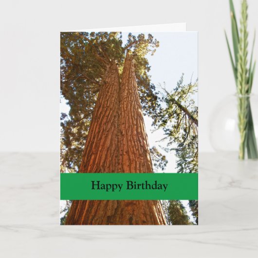 Trouwe paar Sequoia bomen, Happy Birthday Kaart (Voorkant)