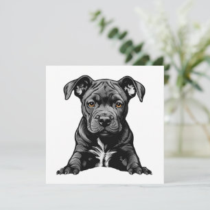 Trouwe Zwarte Pitbull Puppy Trotse Hond Moeder Vad Kaart