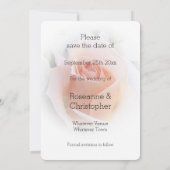 Trouwen Bewaar de datum Peach Pink Rosebud Save The Date (Achterkant)