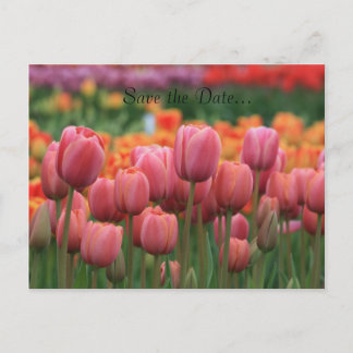 Trouwen Briefkaart, Bewaar de datum... Aankondigingskaart