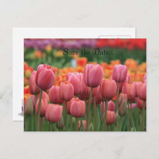 Trouwen Briefkaart, Bewaar de datum... Aankondigingskaart (Voorkant / Achterkant)