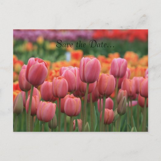 Trouwen Briefkaart, Bewaar de datum... Aankondigingskaart (Voorkant)