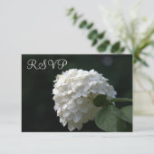Trouwen RSVP Kaarten Witte Limoen Hydrangea (Staand voorkant)
