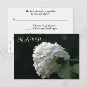 Trouwen RSVP Kaarten Witte Limoen Hydrangea (Voorkant / Achterkant)