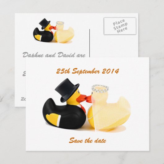 Trouwende eenden 2... Briefkaart (Voorkant / Achterkant)