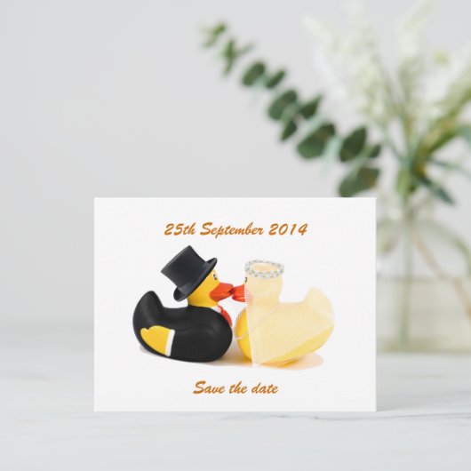 Trouwende eenden 2... Briefkaart (Staand voorkant)