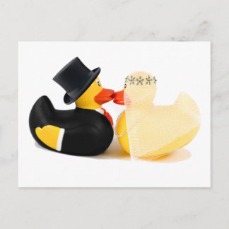 Trouwende eenden 3 briefkaart