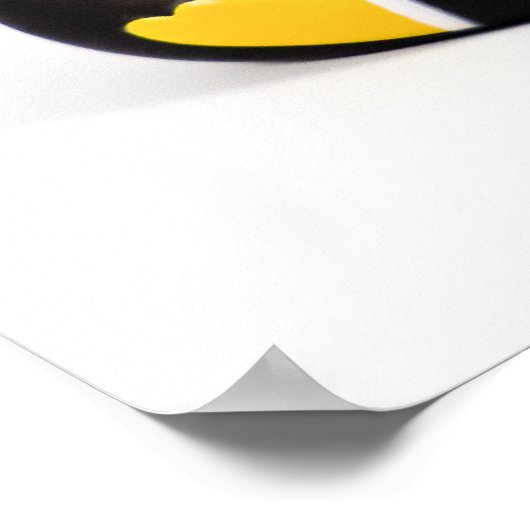 Trouwende eenden ... Poster (Hoek)