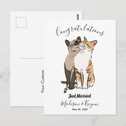 Trouwende katjes  briefkaart (Voorkant / Achterkant)