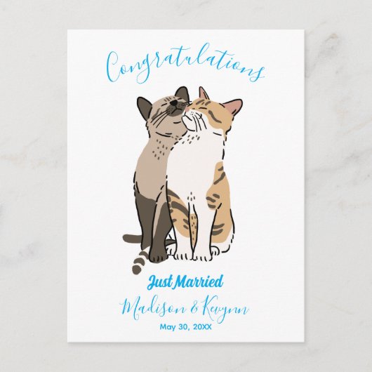 Trouwfeest van schattige katten briefkaart (Voorkant)